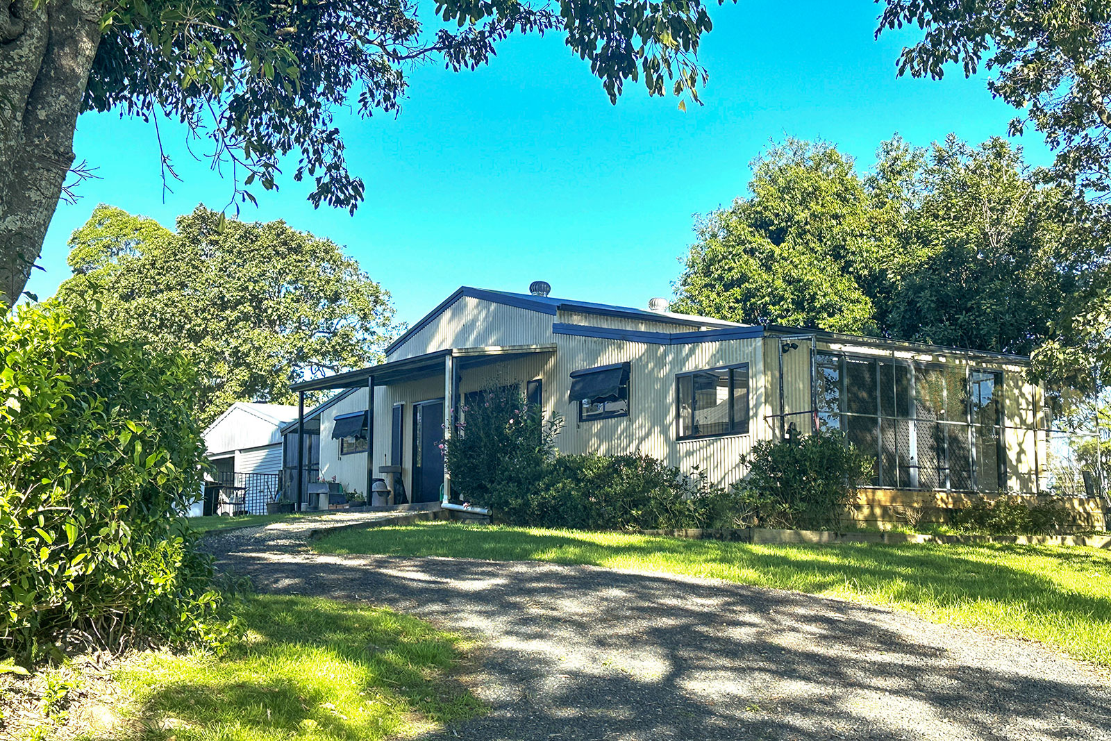 Snug-Cats-Cattery-Kempsey